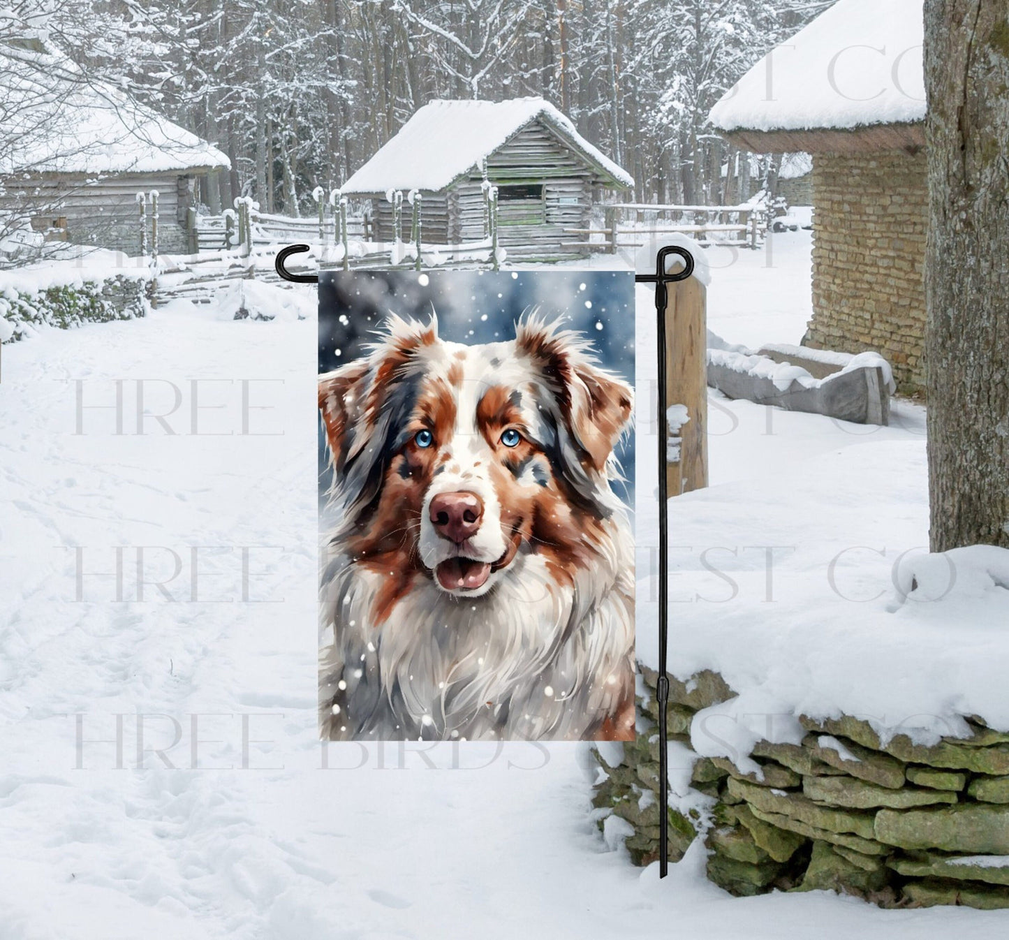 A beautiful red merle Australian Shepherd with blue eyes in a winter wonderland setting