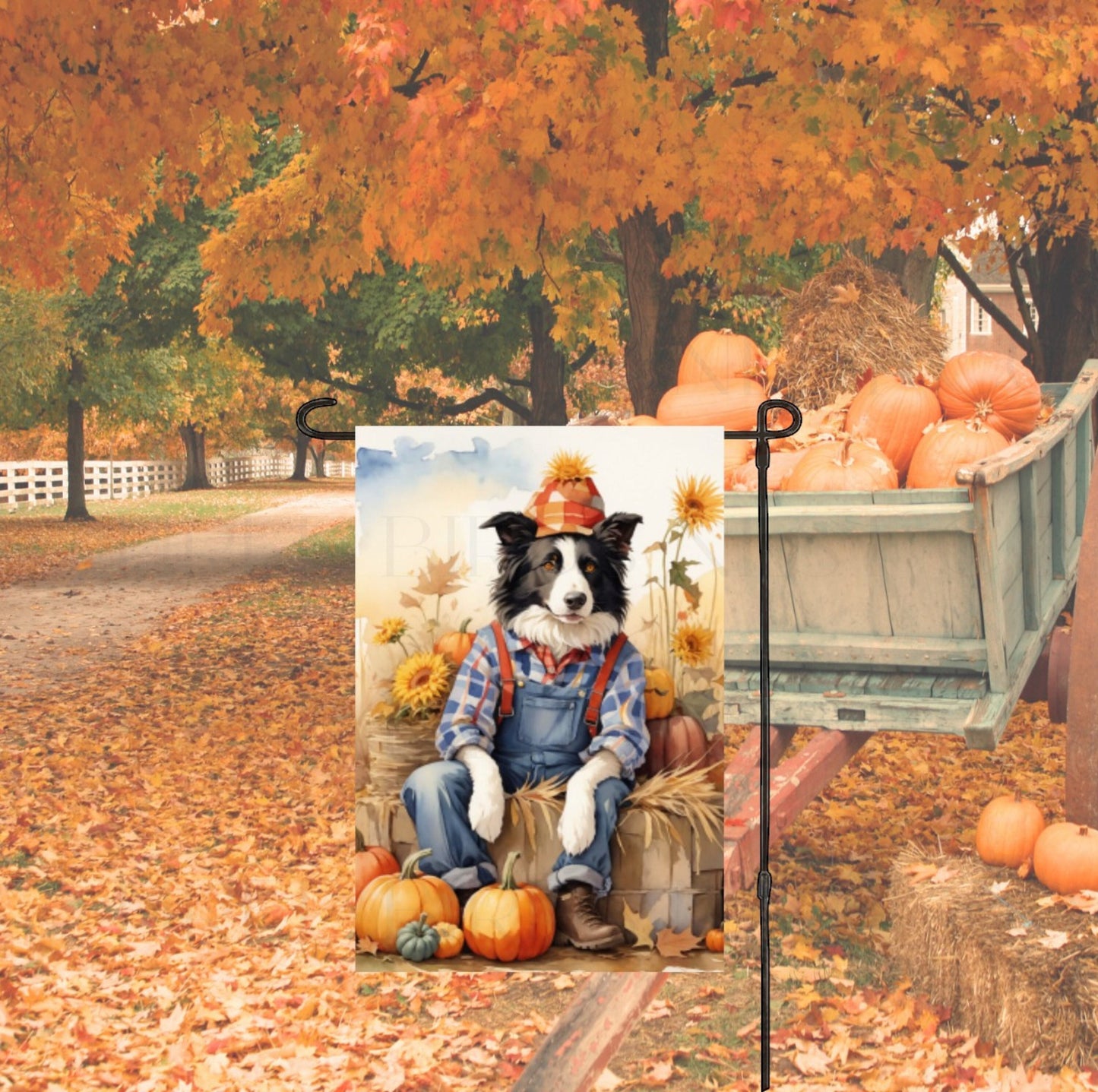 An adorable Border Collie dressed as a Fall Scarecrow with Pumpkins and Sunflowers