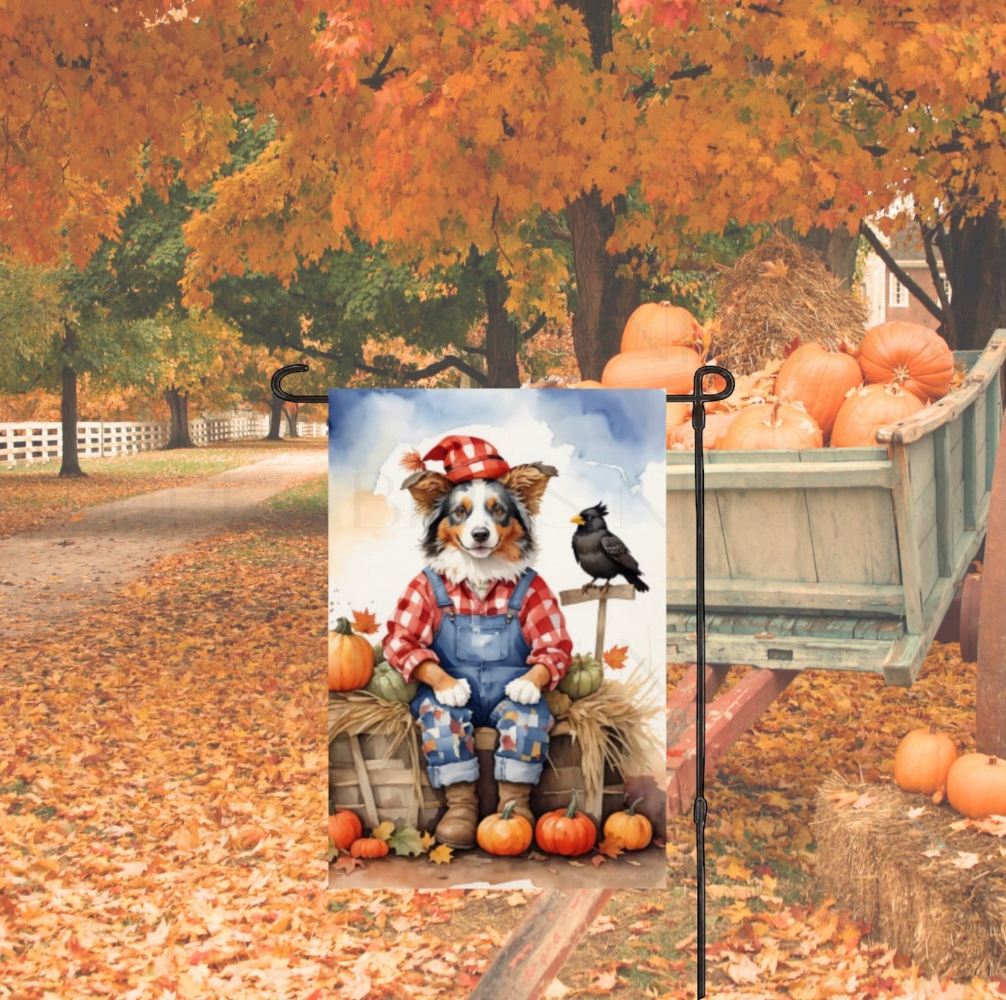 An adorable Australian Shepherd Fall Scarecrow with Pumpkins and Sunflowers