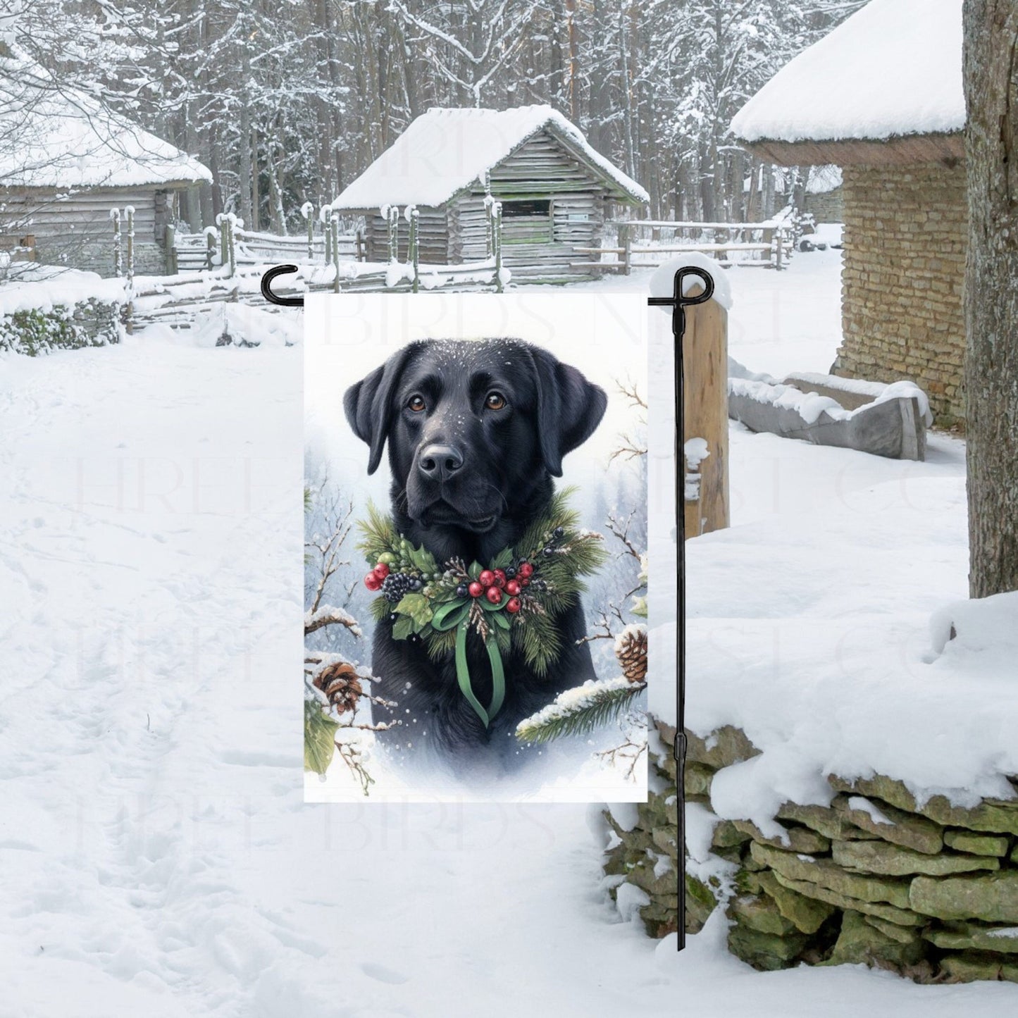 A black Labrador Retriever in a Winter setting with a festive collar on.