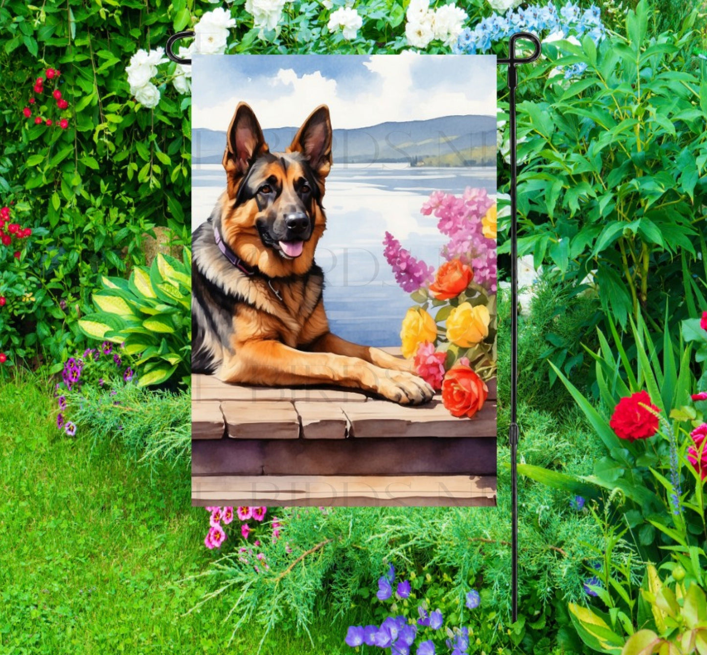 A beautiful German Shepherd on a dock overlooking a Lake.