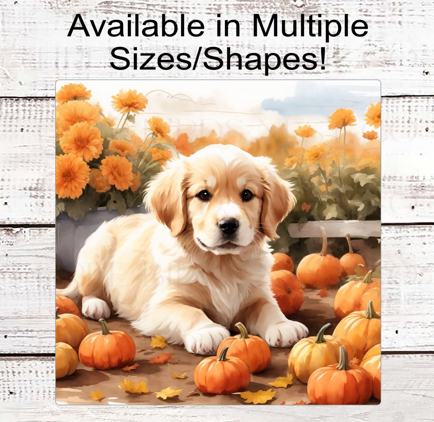 Golden Retriver Pumpkin Patch Wreath Sign - Golden Retriever Lover - Pet Dog Sign - Pumpkin Sign