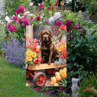 A beautiful Chocolate Labrador Retriever in a wooden cart full of Spring flowers.
