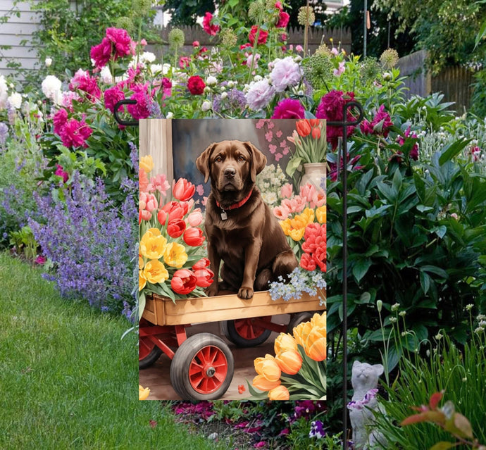 A beautiful Chocolate Labrador Retriever in a wooden cart full of Spring flowers.