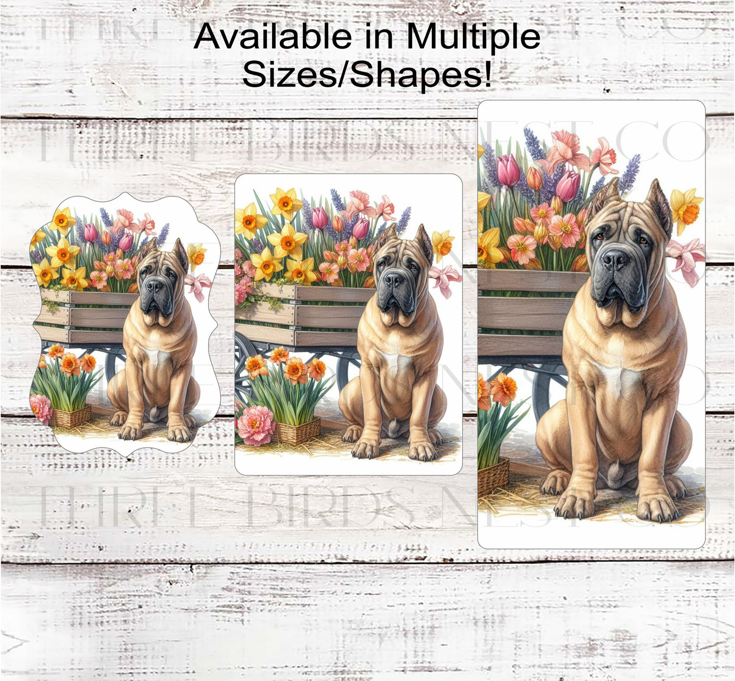 Spring Dog Wreath Sign - Fawn Cane Corso Dog - Floral Wreath Sign