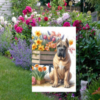A beautiful fawn Cane Corso dog surrounded by gorgeous flowers.