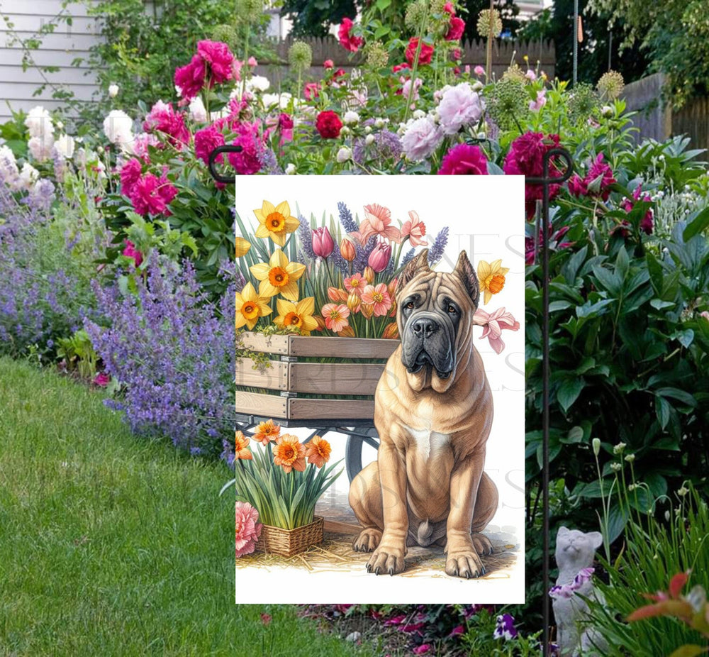 A beautiful fawn Cane Corso dog surrounded by gorgeous flowers.