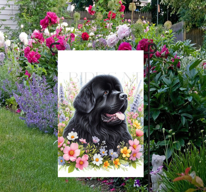 A beautiful Newfoundland dog surrounded by gorgeous flowers.