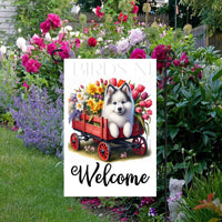 A beautiful Pomsky Dog in a wooden cart full of Spring flowers.