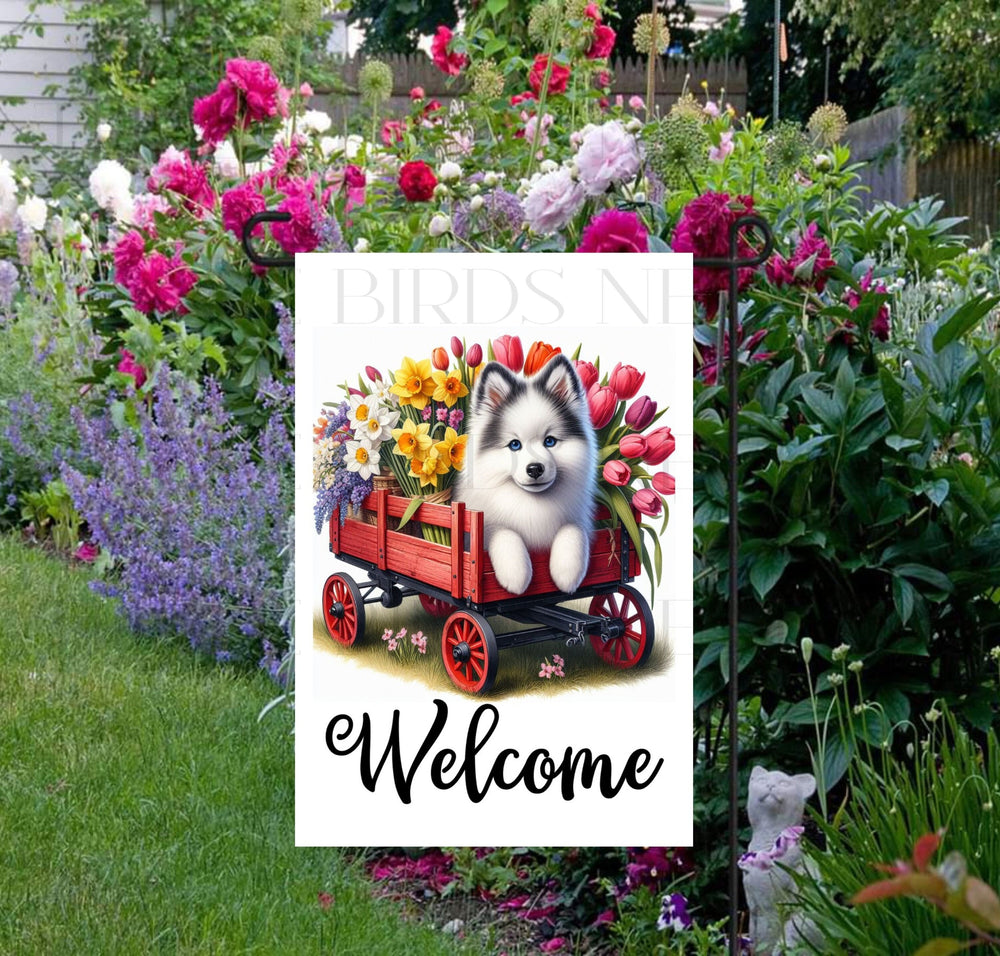 A beautiful Pomsky Dog in a wooden cart full of Spring flowers.