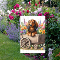 A beautiful Long-Haired Dachshund Dog in a wooden cart full of Spring flowers.