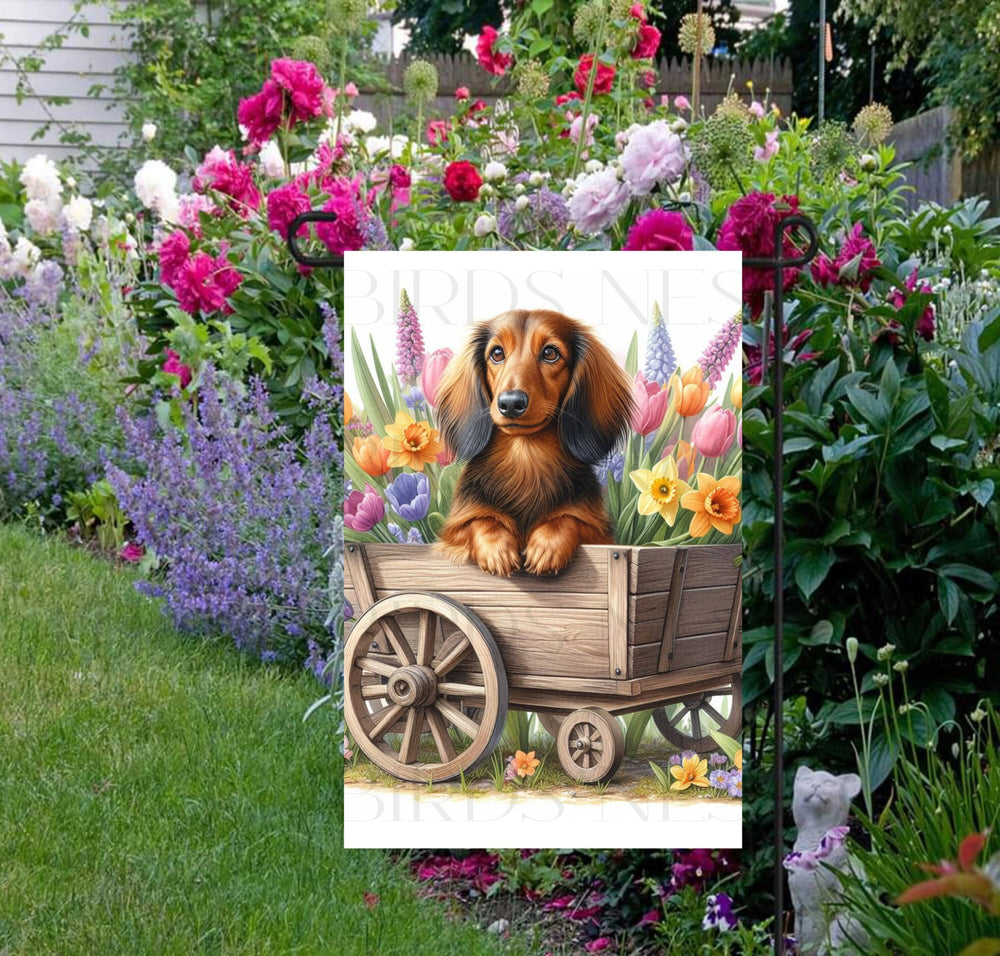 A beautiful Long-Haired Dachshund Dog in a wooden cart full of Spring flowers.