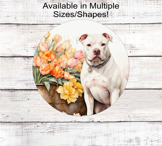 A white Pit Bull Dog on a flower cart full of Spring Flower