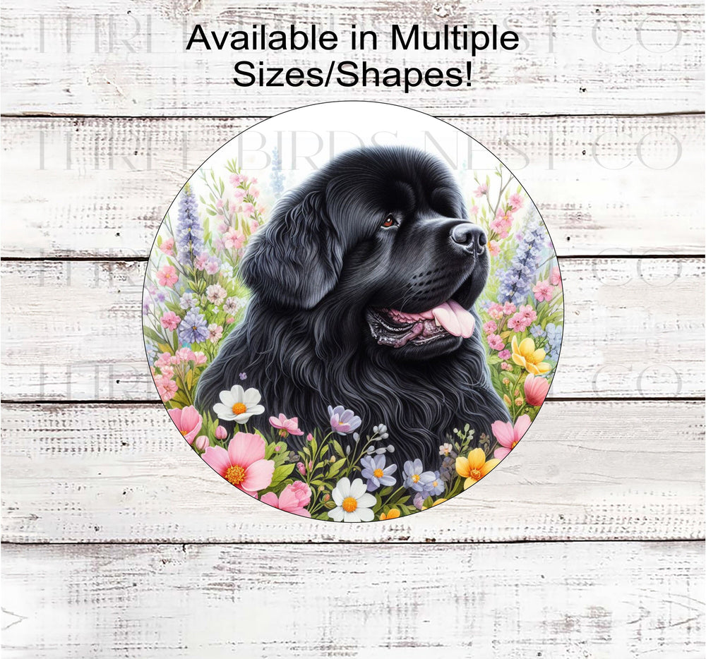 A black Newfoundland dog surrounded by beautiful Spring flowers