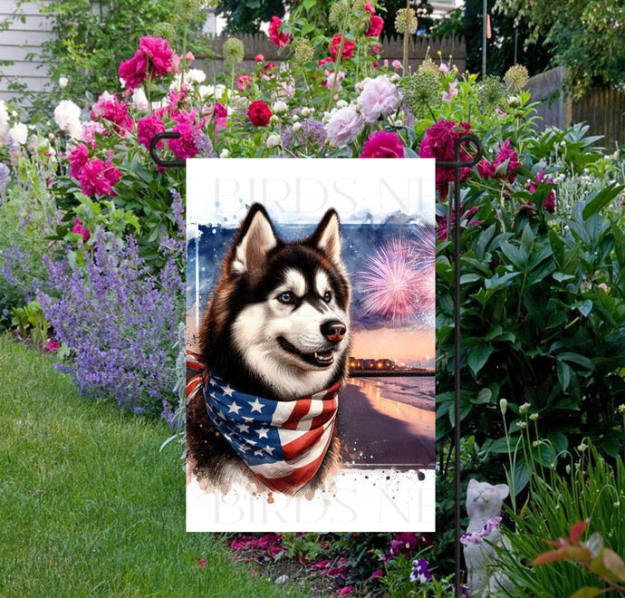 An adorable Siberian Husky Dog wearing an American Flag Bandanna on a Beach with Fireworks in the background.