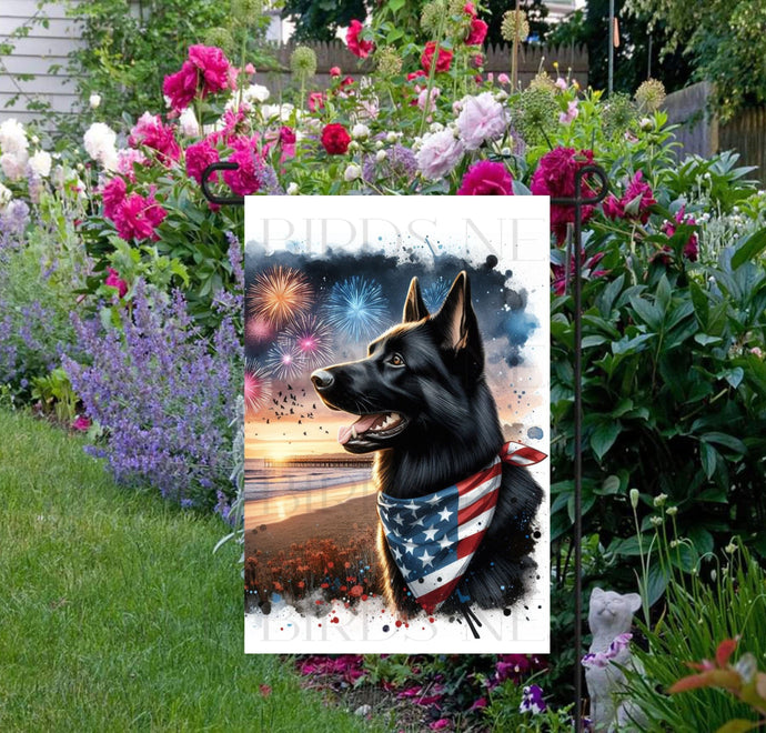 An adorable black German Shepherd Dog wearing an American Flag Bandanna on a Beach with Fireworks in the background.