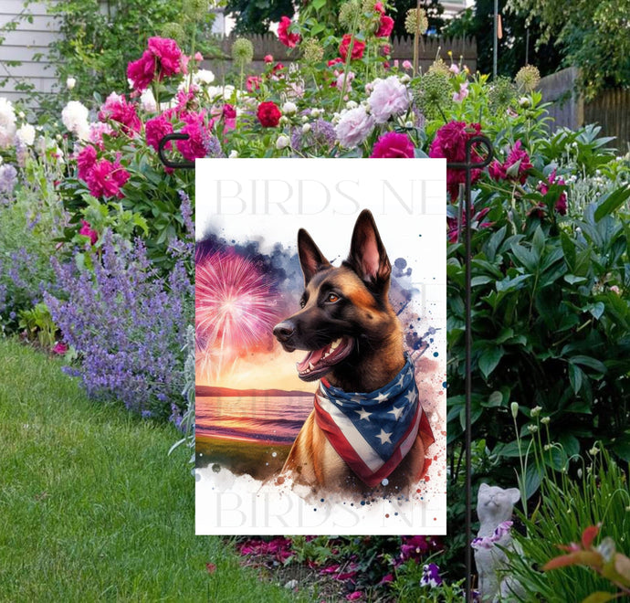 An adorable Belgian Malinois Dog wearing an American Flag Bandanna on a Beach with Fireworks in the background.