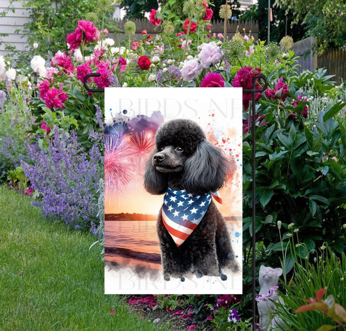 An adorable black Poodle Dog wearing an American Flag Bandanna on a Beach with Fireworks in the background.