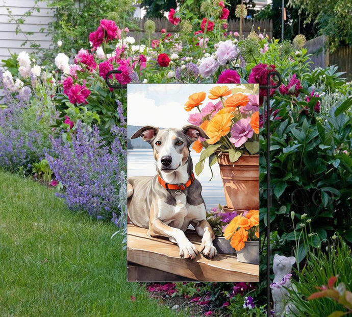 A beautiful Greyhound dog on a dock overlooking a Lake.