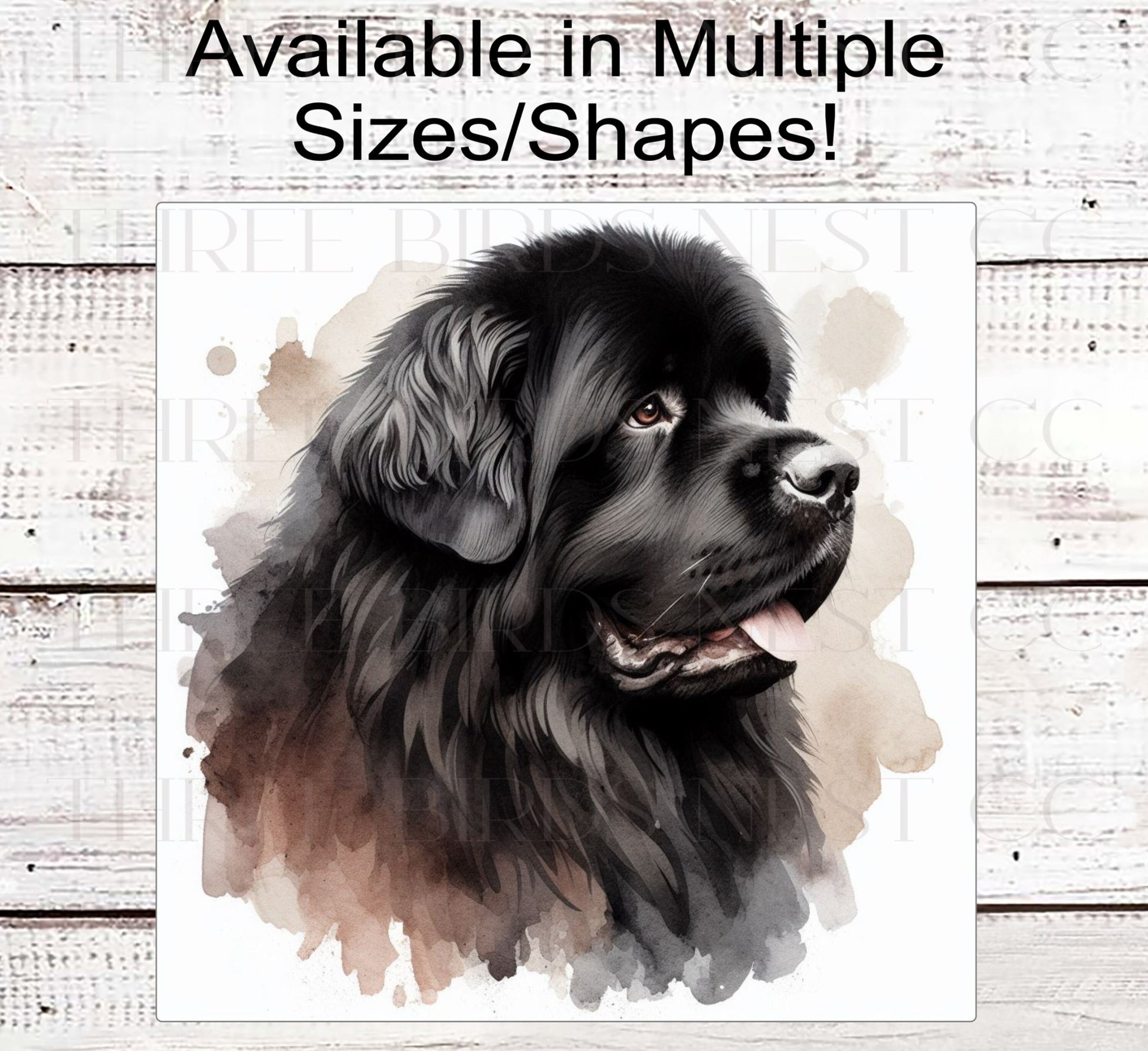 Black Newfoundland Dog Wreath Sign - Everyday Wreath Sign - Dog Lover - Pet Signs