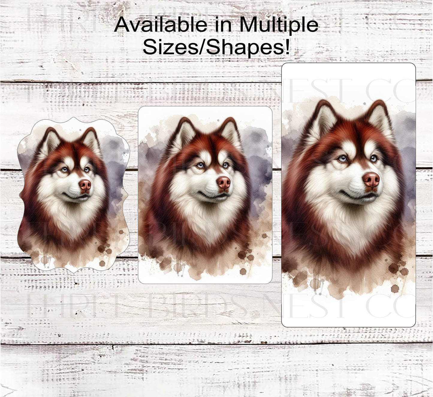 Red Siberian Husky Dog Wreath Sign - Everyday Wreath Sign - Dog Lover - Pet Signs