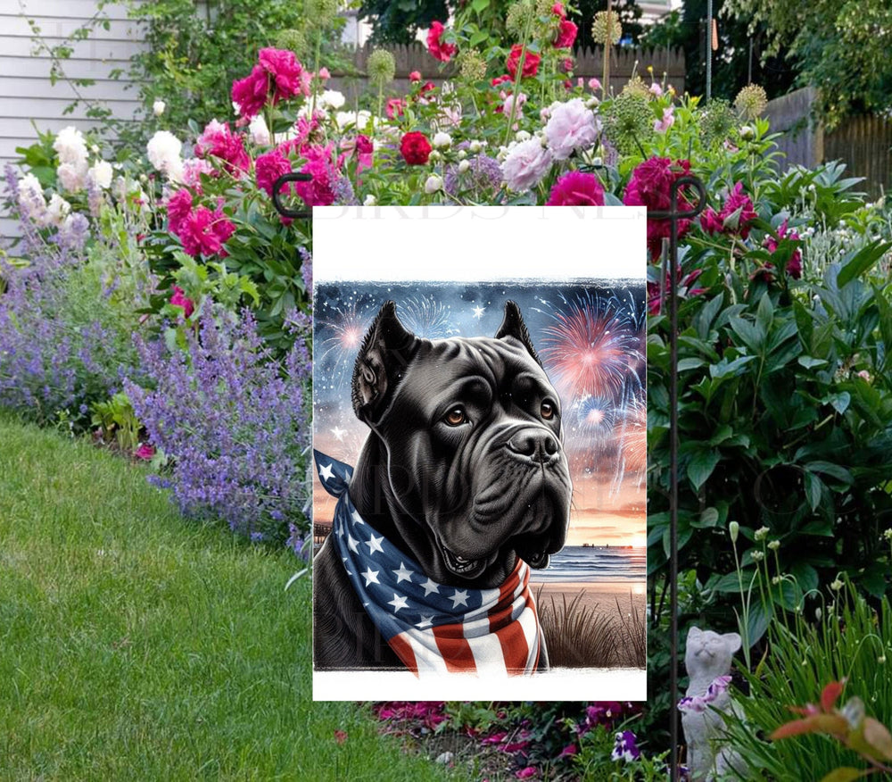 An adorable black Cane Corso Dog wearing an American Flag Bandanna on a Beach with Fireworks in the background.