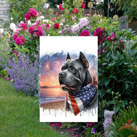 An adorable grey Cane Corso Dog wearing an American Flag Bandanna on a Beach with Fireworks in the background.