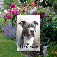 A beautiful Welcome Garden Flag with a Grey and White Pit Bull Dog.
