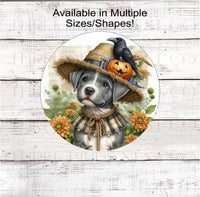 
              A beautiful Fall scene with an adorable Pit Bull Puppy dressed as a Scarecrow with a jack-o-lantern pumpkin and black Crow.
            