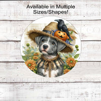 A beautiful Fall scene with an adorable Pit Bull Puppy dressed as a Scarecrow with a jack-o-lantern pumpkin and black Crow.