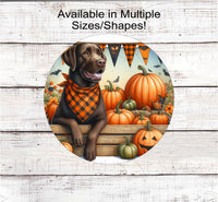 
              A beautiful chocolate Labrador Retriever dog wearing an American Flag orange and black buffalo plaid bandanna while sitting amongst orange and white pumpkins.
            