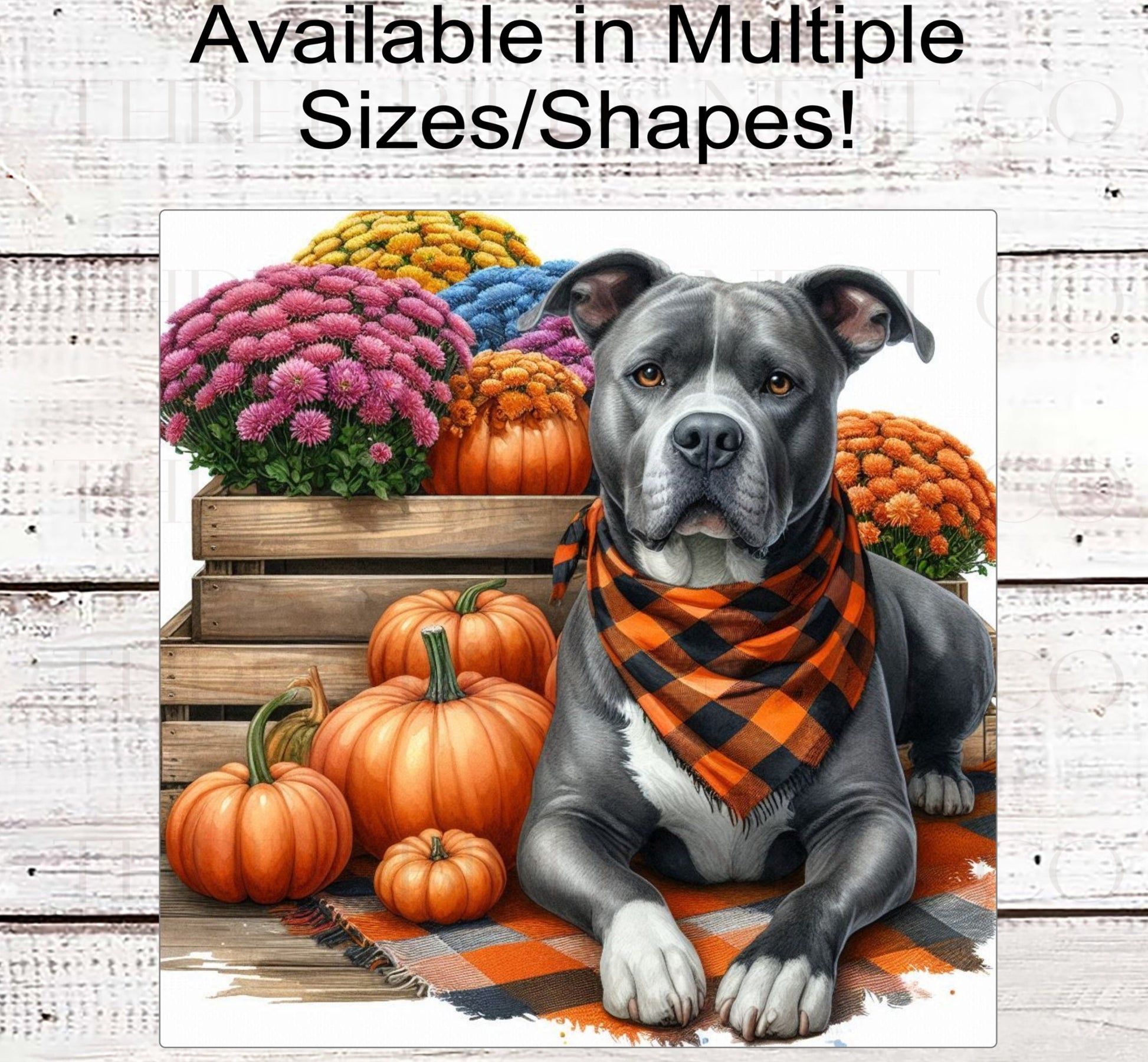 Fall Dog Wreath Sign - Grey and White Staffordshire Terrier - Pit Bull Lover - Pumpkins and Mums Sign - Welcome to Our Patch