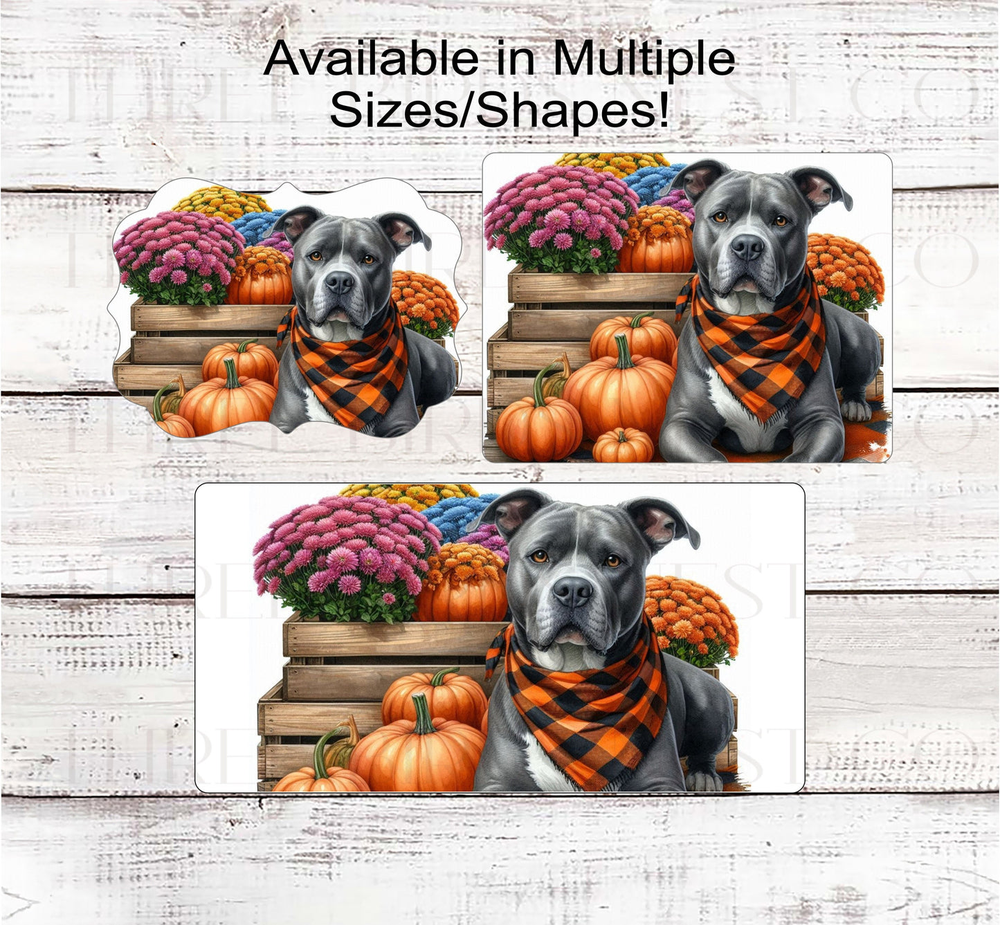 Fall Dog Wreath Sign - Grey and White Staffordshire Terrier - Pit Bull Lover - Pumpkins and Mums Sign - Welcome to Our Patch