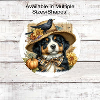 An adorable Bernese Mountain dog dressed as a Fall Scarecrow.