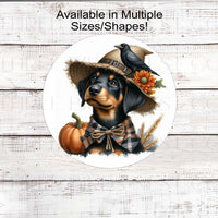 An adorable Doberman Pinscher dog dressed as a Fall Scarecrow.