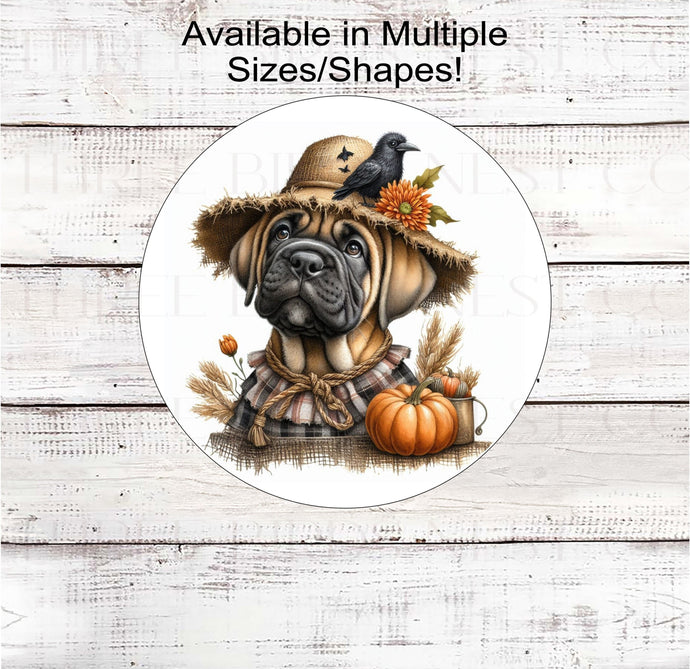 An adorable fawn Cane Corso puppy dog in a scarecrow hat with his black crow friend.