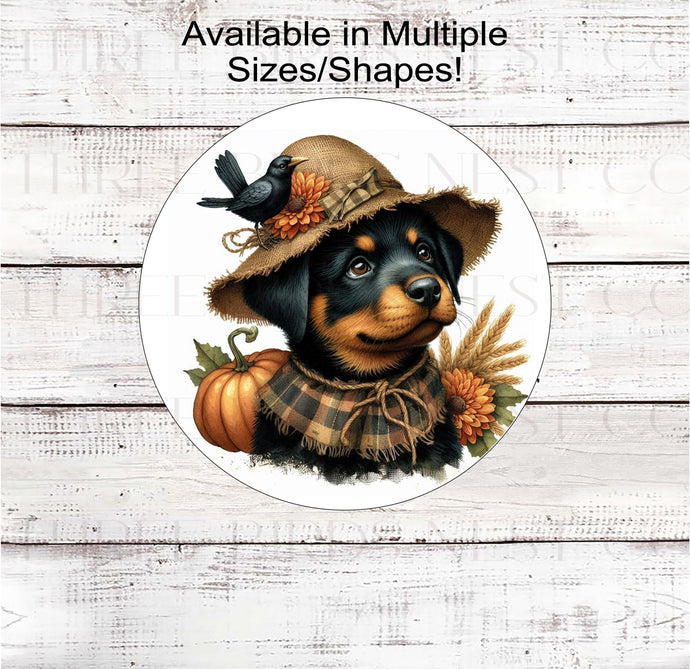 An adorable Rottweiler puppy dog in a scarecrow hat with his black crow friend.