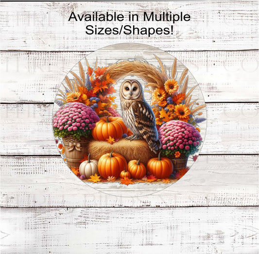 A beautiful Owl surrounded by a Fall display of pumpkins, mums and Sunflowers