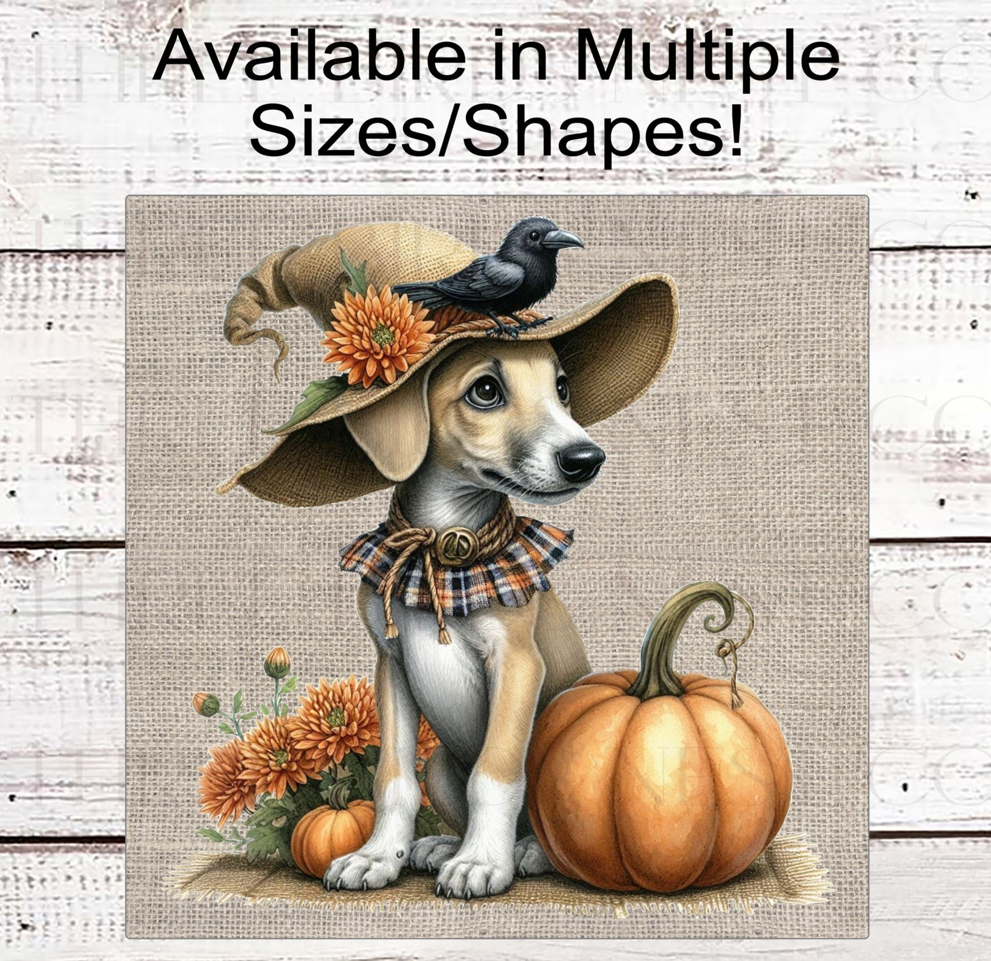 Fall Dog Wreath Sign - Greyhound Dog - Black Crow - Pumpkins Sign - Welcome to Our Patch