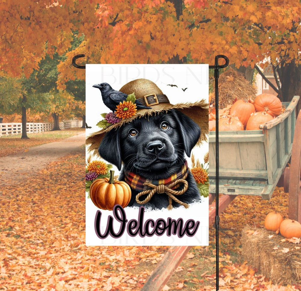 An adorable Black Labrador Retriever Puppy Dog dressed as a Scarecrow with a Welcome Fall message.