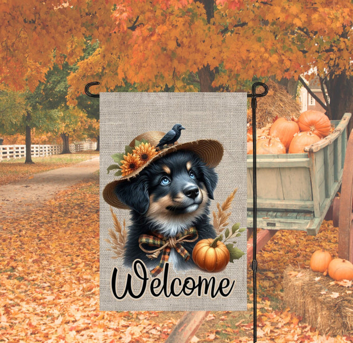 An adorable Australian Shepherd Puppy Dog dressed as a Scarecrow with a Welcome Fall message.