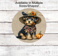 
              An adorable Yorkshire Terrier puppy in his best Scarecrow outfit
            