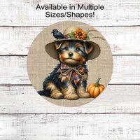 An adorable Yorkshire Terrier puppy in his best Scarecrow outfit