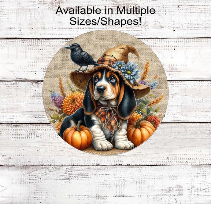 An adorable Basset Hound puppy dog dressed as a Fall Scarecrow.