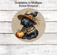 
              An adorable black Labrador Retriever dog dressed as a Fall Scarecrow.
            