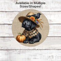 An adorable black Labrador Retriever dog dressed as a Fall Scarecrow.