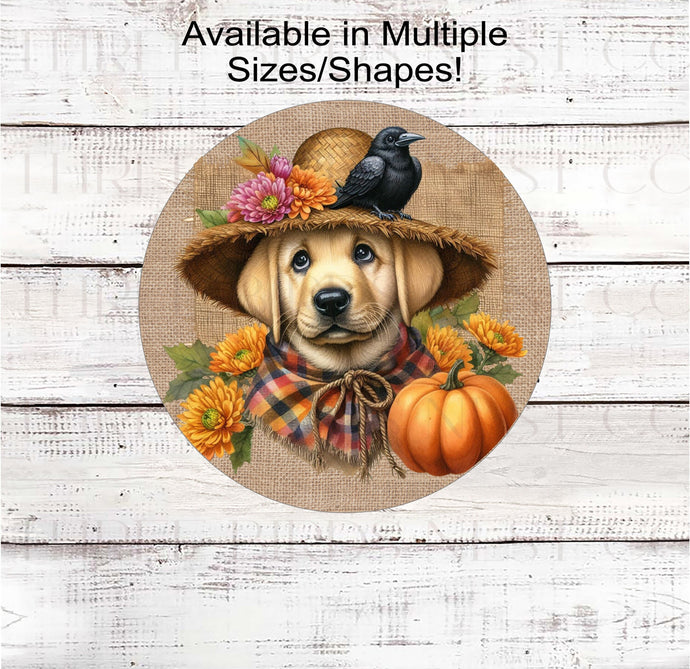 An adorable Yellow Labrador Retriever puppy dog in a scarecrow hat with his black crow friend.