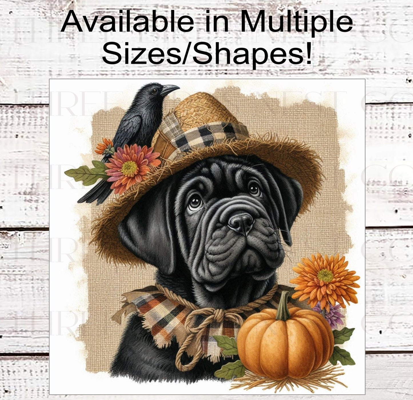 Fall Dog Wreath Sign - Black Cane Corso Mastiff Dog - Pumpkins Sign - Welcome to Our Patch