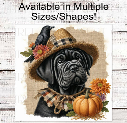 Fall Dog Wreath Sign - Black Cane Corso Mastiff Dog - Pumpkins Sign - Welcome to Our Patch
