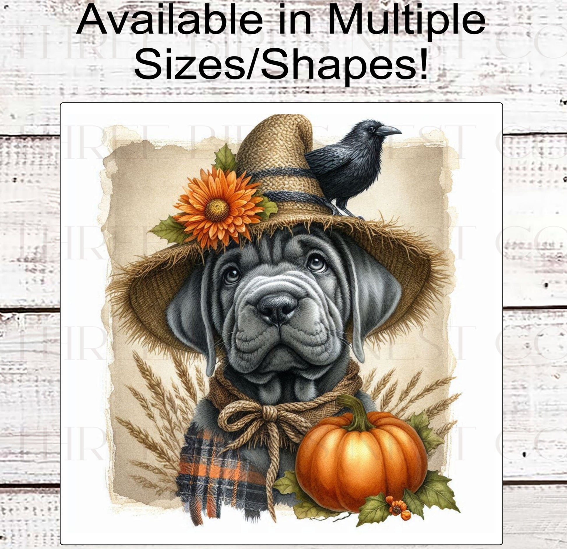 Fall Dog Wreath Sign - Grey Cane Corso Mastiff Dog - Pumpkins Sign - Welcome to Our Patch